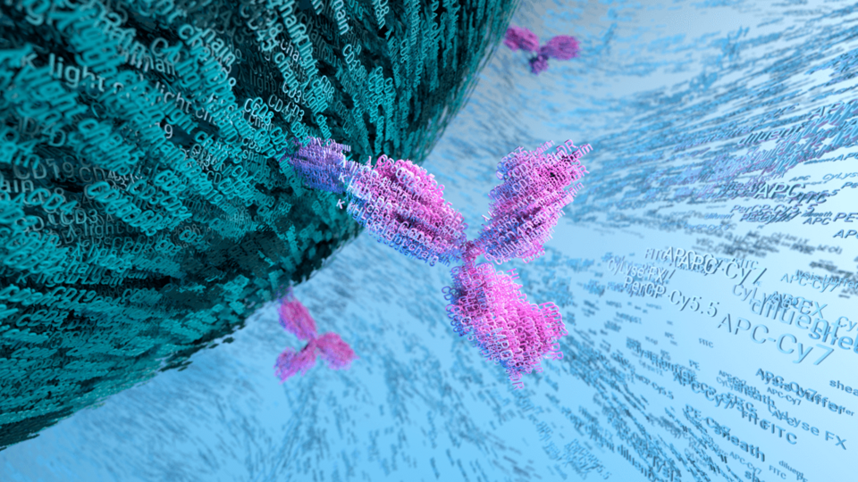 Clinical flow cytometry