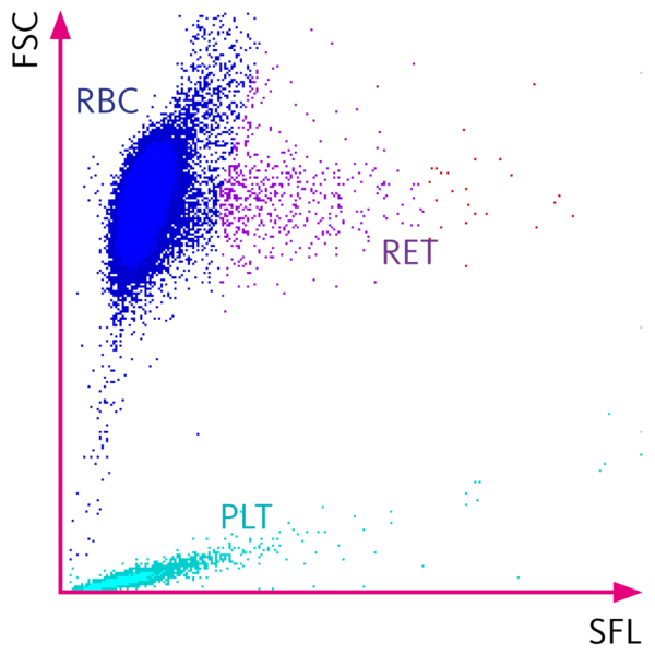 Scattergram of the RET channel with a normal cell distribution Sysmex Scattergram of the RET channel with a normal cell distribution