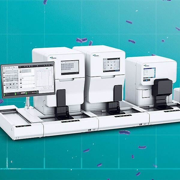 The modular way of Urinalysis